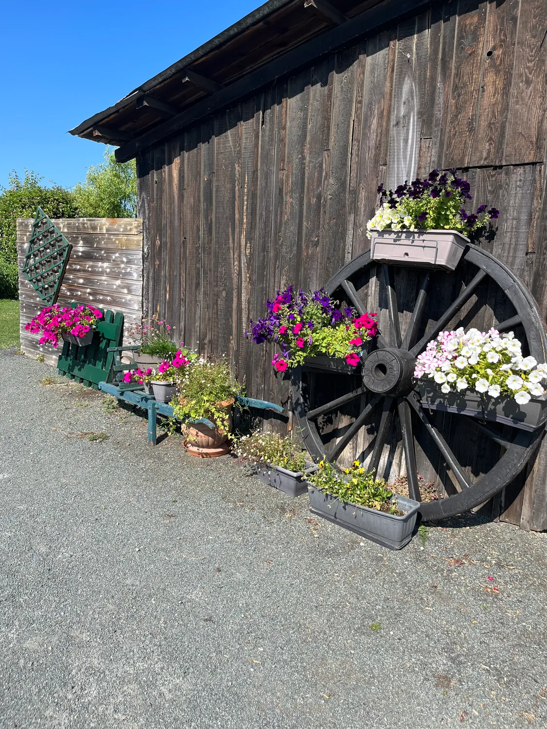 salle des fetes saint hilaire de riez