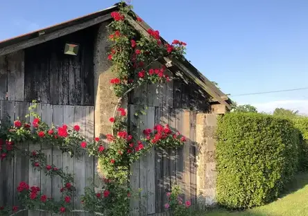 location gite Commequiers-1
