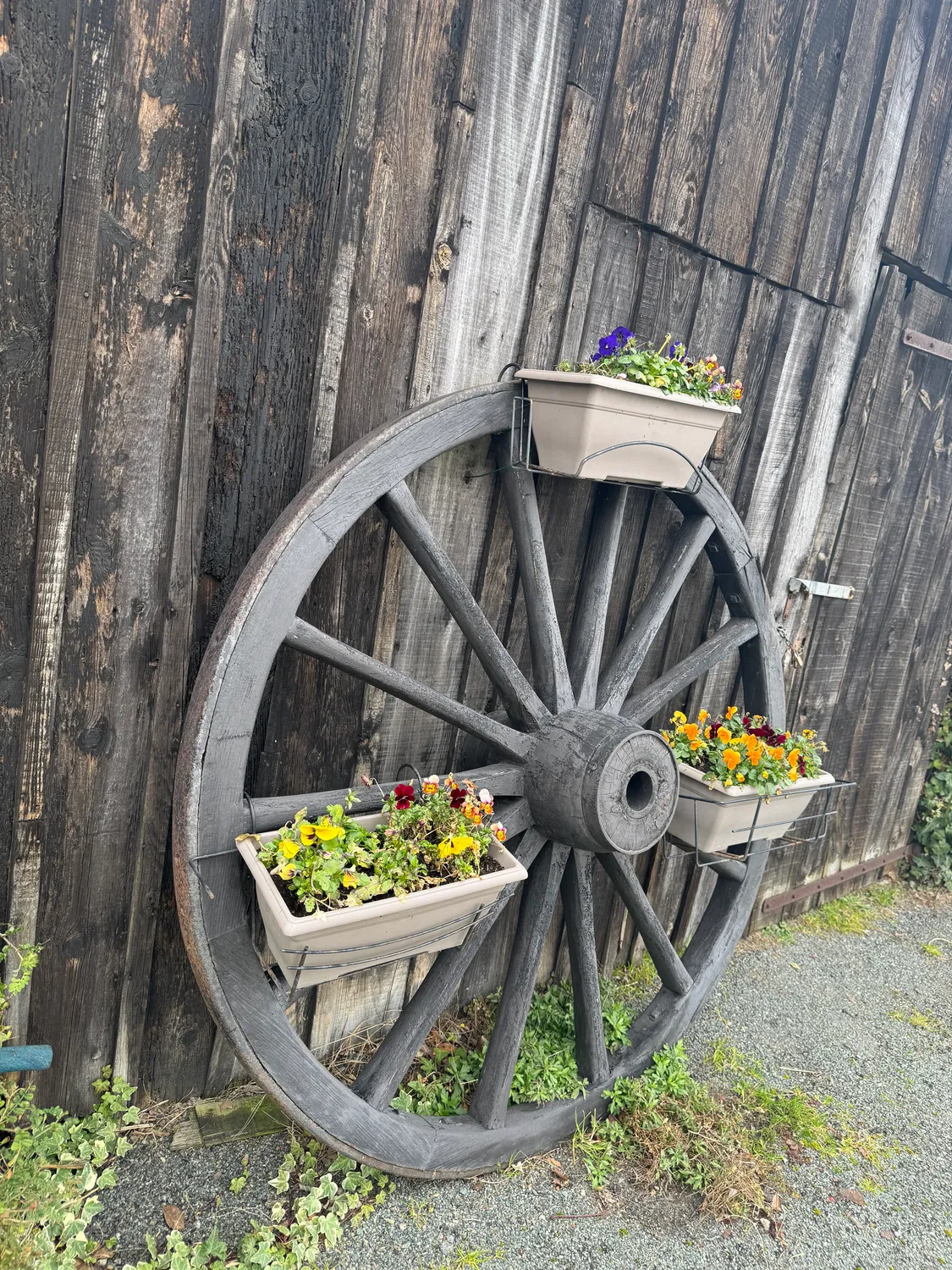 location roulotte la roche sur yon