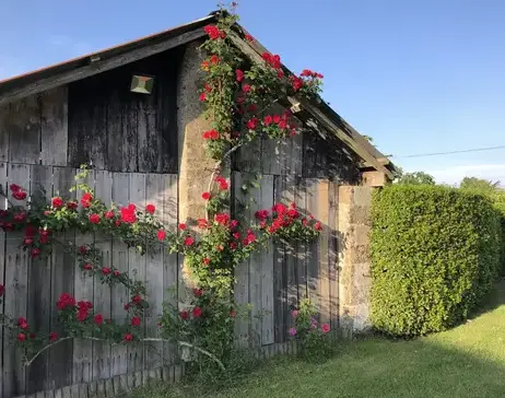 logement insolite Challans-5