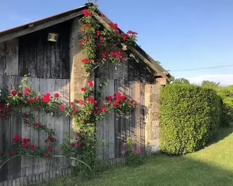logement insolite Commequiers-1
