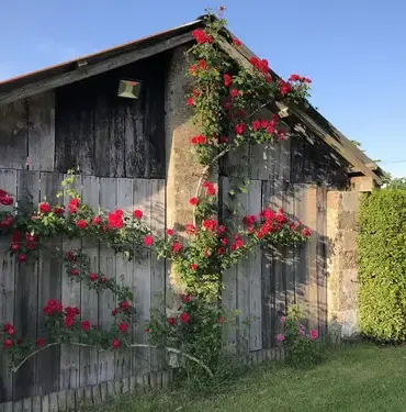 logement insolite La Roche-sur-Yon-1