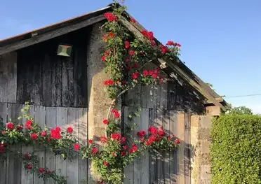 logement insolite Saint-Hilaire-de-Riez-2