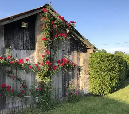 logement insolite Saint-Jean-de-Monts-5