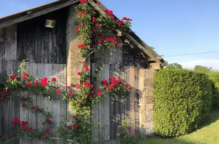 salle de mariage Saint-Jean-de-Monts-3
