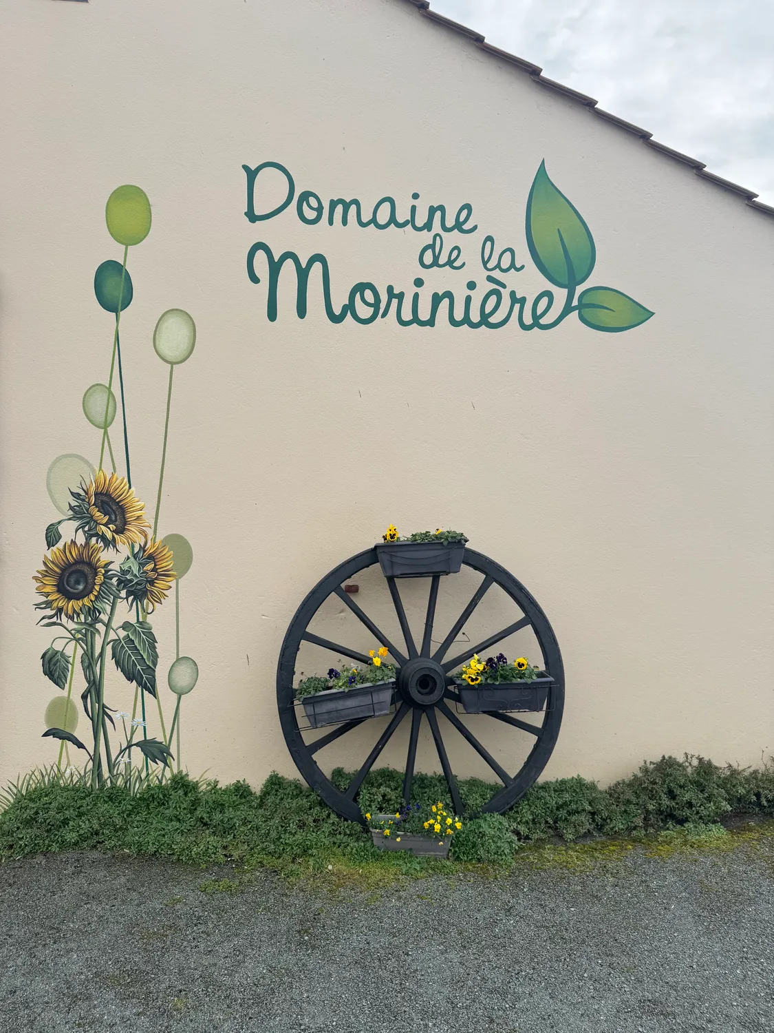 salle des fetes commequiers