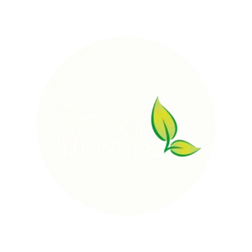 salle location pour anniversaire commequiers